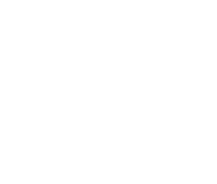 Todo Viajes Chile